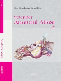 Veteriner Anatomi Atlası (At)