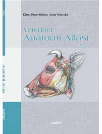 Veteriner Anatomi Atlası (Sığır)
