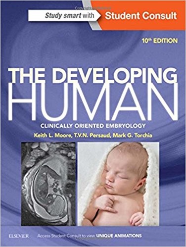 The Developing Human, 10e