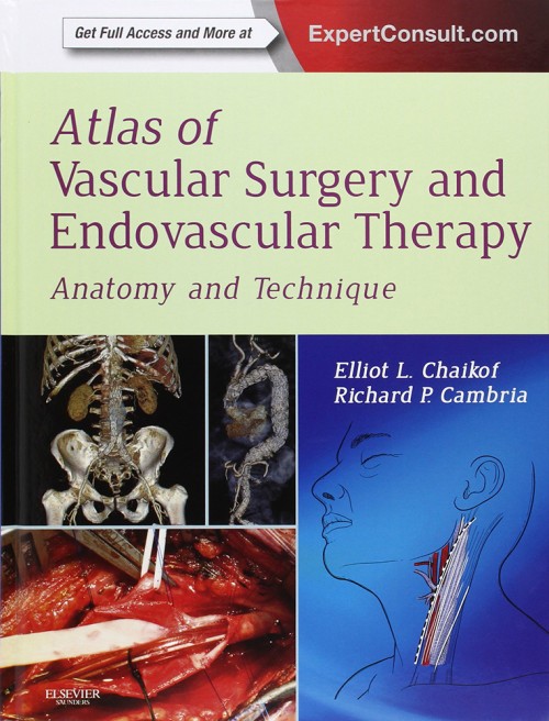 Atlas of Vascular Surgery and Endovascular Therapy