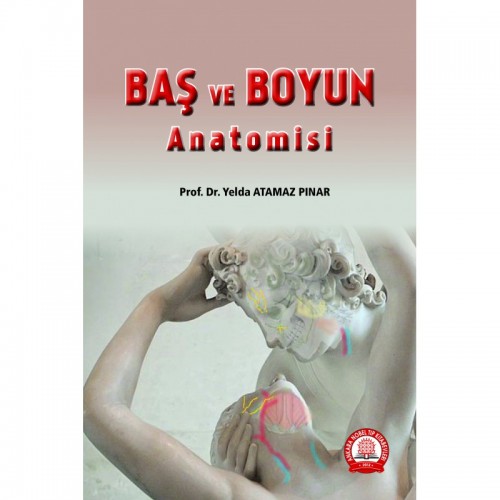 Baş ve Boyun Anatomisi