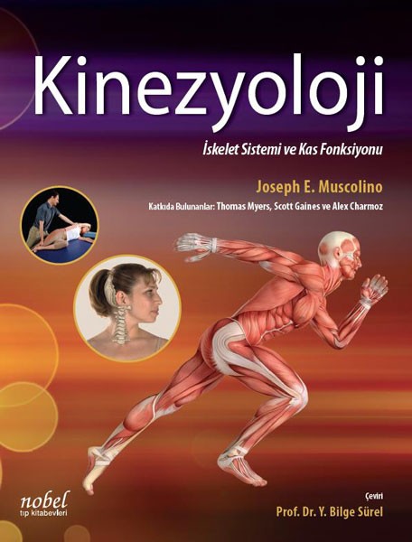 Kinezyoloji: İskelet Sistemi ve Kas Fonksiyonu