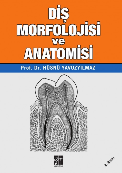 Diş Morfolojisi ve Anatomisi