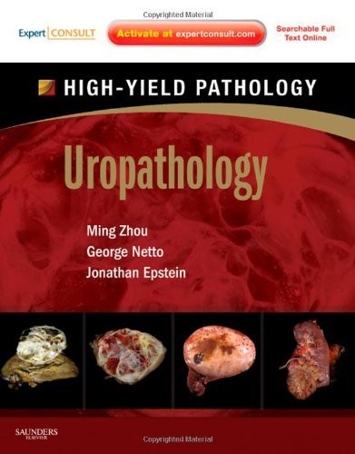 Uropathology: A Volume in the High Yield Pathology Series