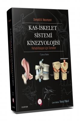 Kas İskelet Sistemi Kinezyolojisi