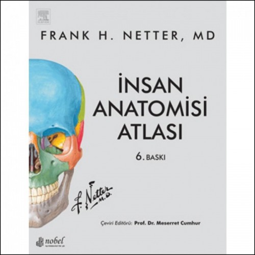 İnsan Anatomisi Atlası (Netter)