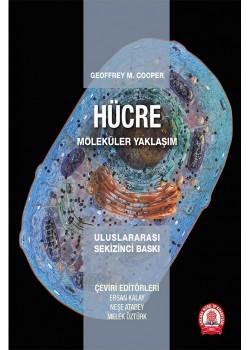 Hücre Moleküler Yaklaşım