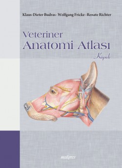 Veteriner Anatomi Atlası (Köpek)