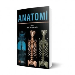 ANATOMİ