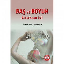 Baş ve Boyun Anatomisi