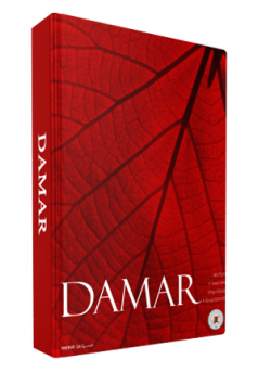 DAMAR