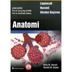 Lippincott Anatomi