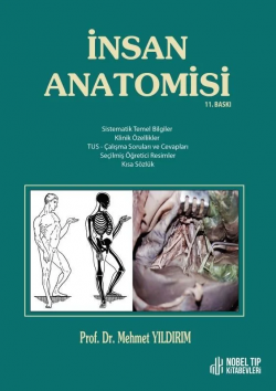 İnsan Anatomisi 11. Baskı