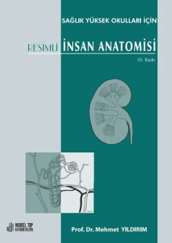 Sağlık Yüksek Okulları için Resimli İnsan Anatomisi 10. Baskı