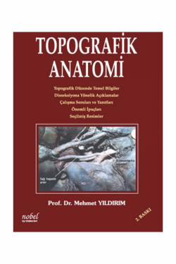 Topografik Anatomi